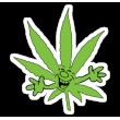 Novelty WEED Products