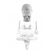 Fetish Fantasy Wedding Night Kit