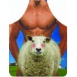 Novelty Apron Man & Sheep