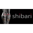 Shibari Toys (2)